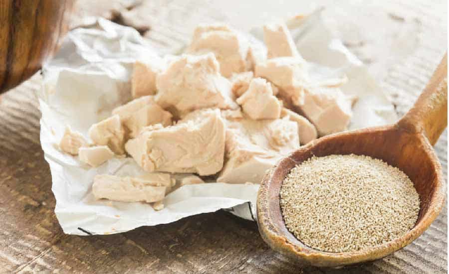 Guida Lievito Birra Fresco Panetti Disidratato Come Usarlo