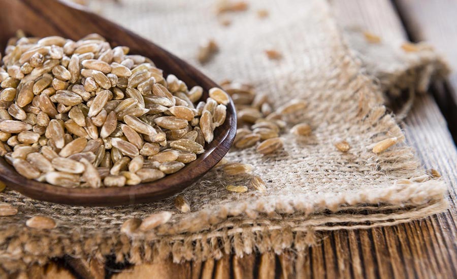 Farro Cosa Cereale Fa Bene Pane