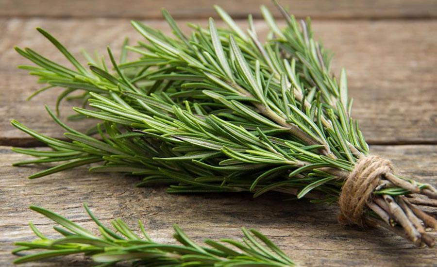 Caratteristiche Proprieta Rosmarino Aroma Focaccia