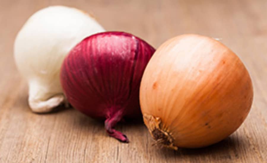 arieta Cipolle Usare Cucina Quali Scegliere Focaccia