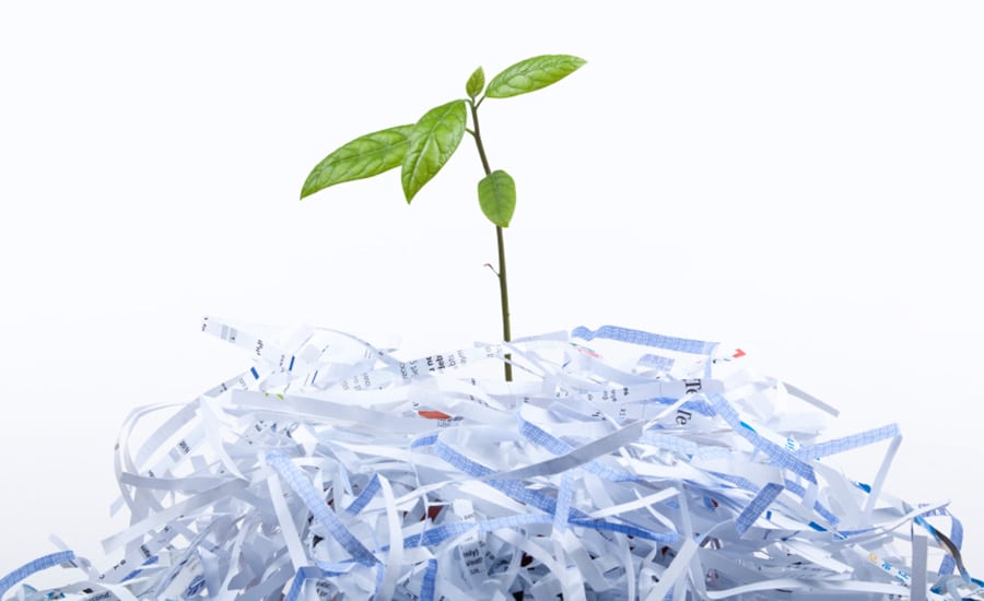 Imballaggi Packaging Ecologici Carta Plastica Riciclabili