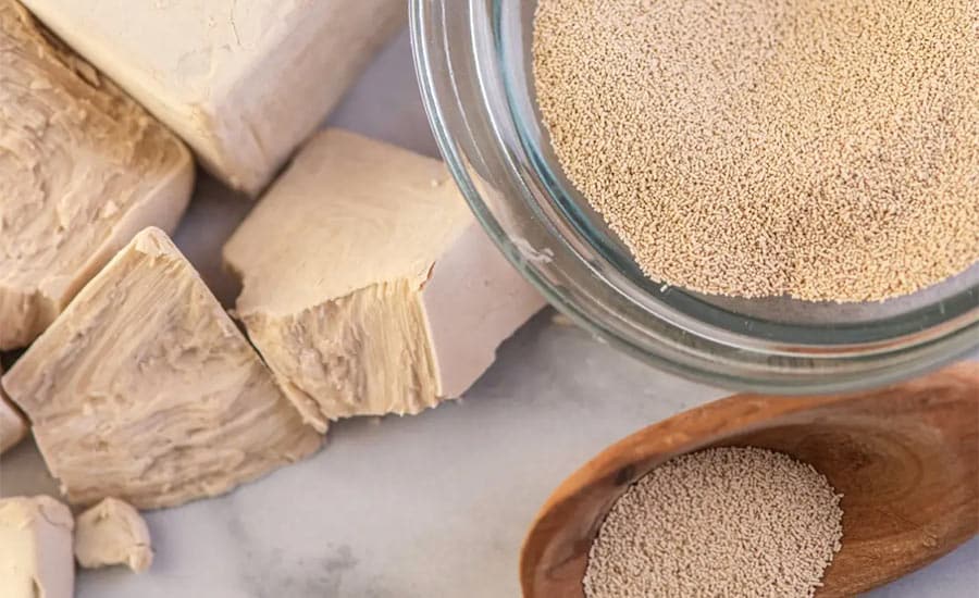 Lievito Secco Bustina Quale Scegliere Per Pizza Focaccia