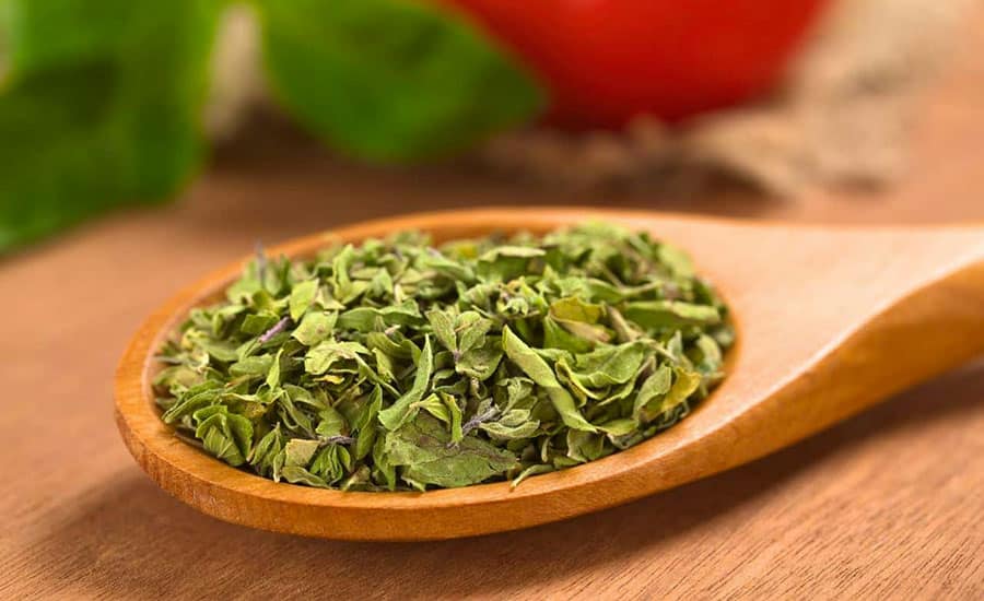 Origano-Pizza-Guida-Erbe-Pizzaioli